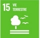 vie terrestre