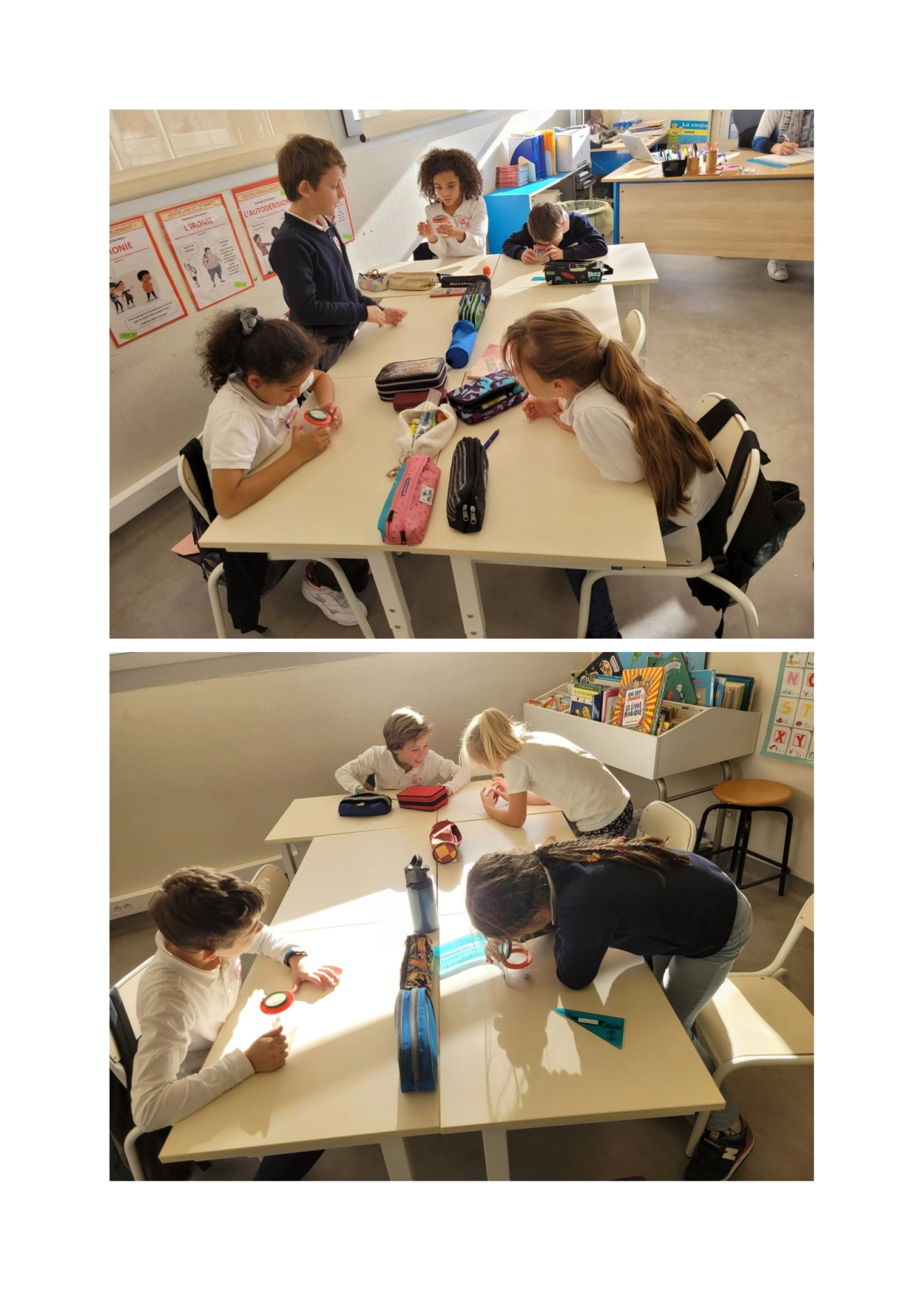 ARTICLE CE2 A insectes-2